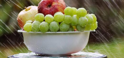 Секреты здоровья и долголетия: полезны ли фрукты?